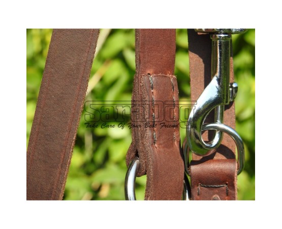 Lesa reglabila pentru dresaj canin 