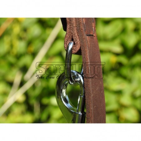 Lesa reglabila pentru dresaj canin 