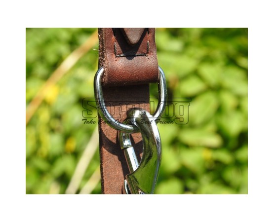 Lesa reglabila pentru dresaj canin 