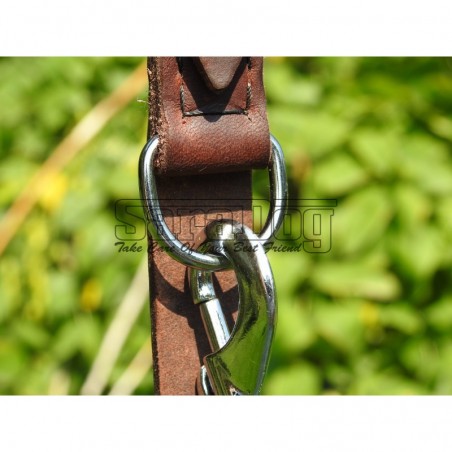 Lesa reglabila pentru dresaj canin 