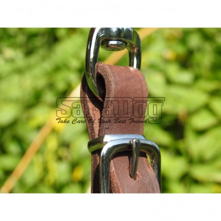 Lesa reglabila pentru dresaj canin 