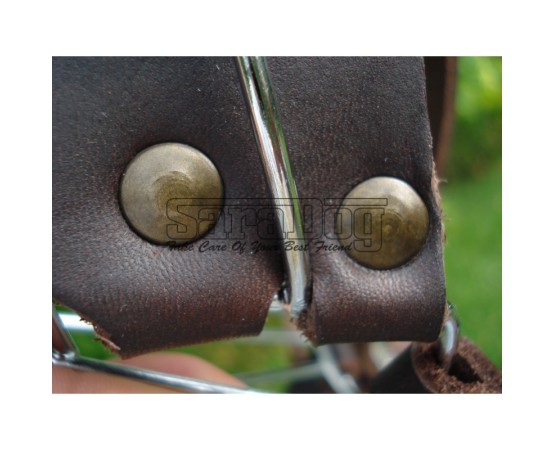 Botniţă Boxer mascul