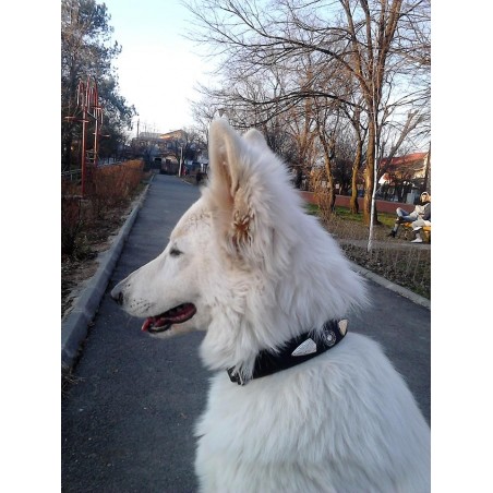 Zgarda de lux pentru caini din piele naturala si cristale Swarovski albe