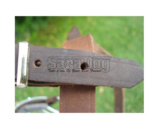 Botniţă Boxer mascul