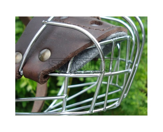 Botniţă Boxer mascul