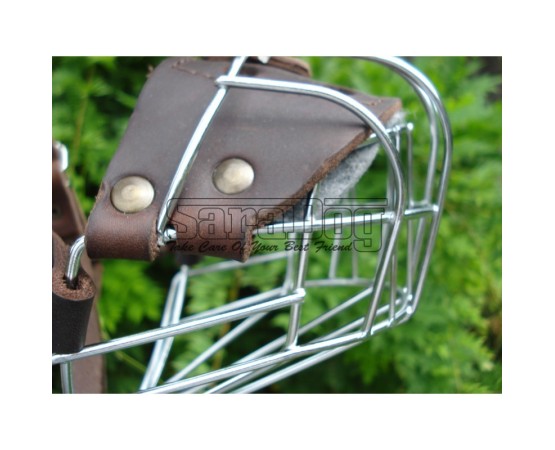 Botniţă Boxer mascul