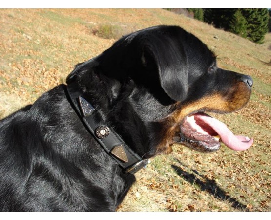 Zgarda de lux pentru caini din piele naturala si cristale Swarovski albe