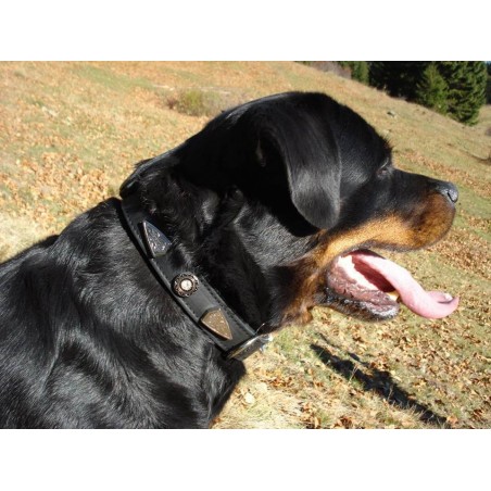 Zgarda de lux pentru caini din piele naturala si cristale Swarovski albe