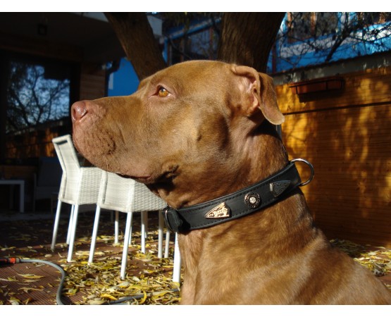 Zgarda de lux pentru caini din piele naturala si cristale Swarovski albe