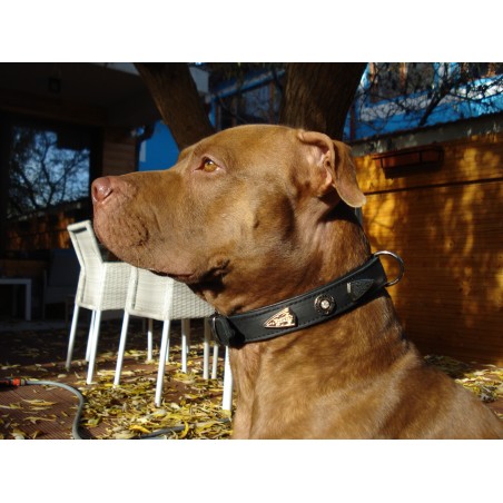 Zgarda de lux pentru caini din piele naturala si cristale Swarovski albe