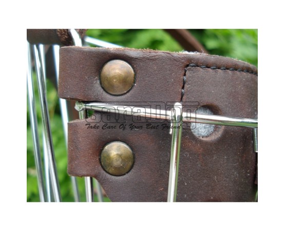 Botniţă pentru Dobermann