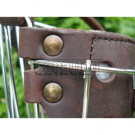 Botniţă pentru Dobermann