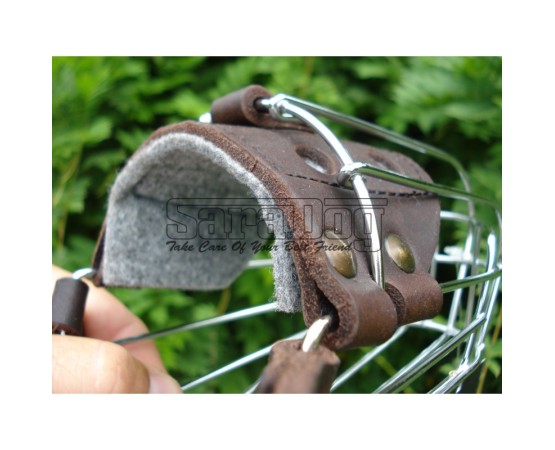 Botniţă pentru Dobermann