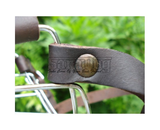 Botniţă pentru Dobermann