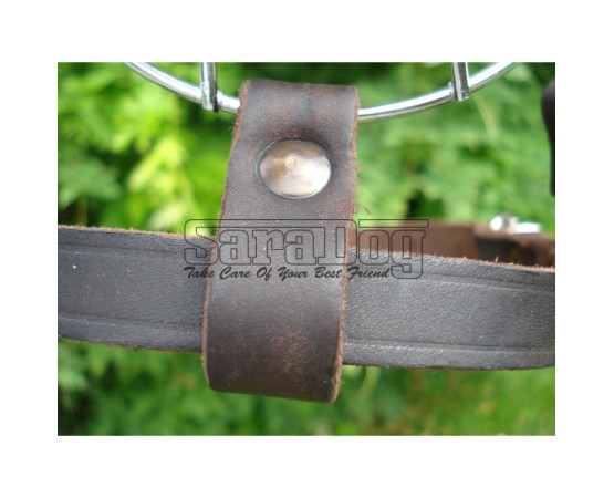 Botniţă pentru Dobermann