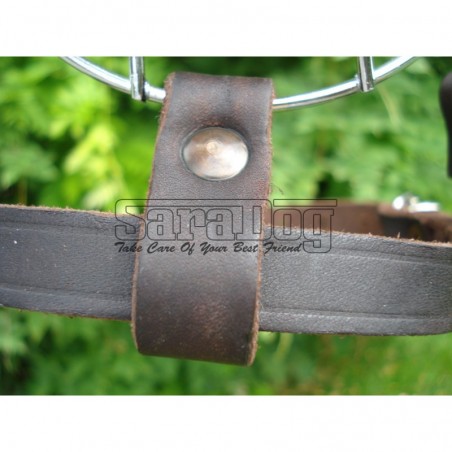 Botniţă pentru Dobermann