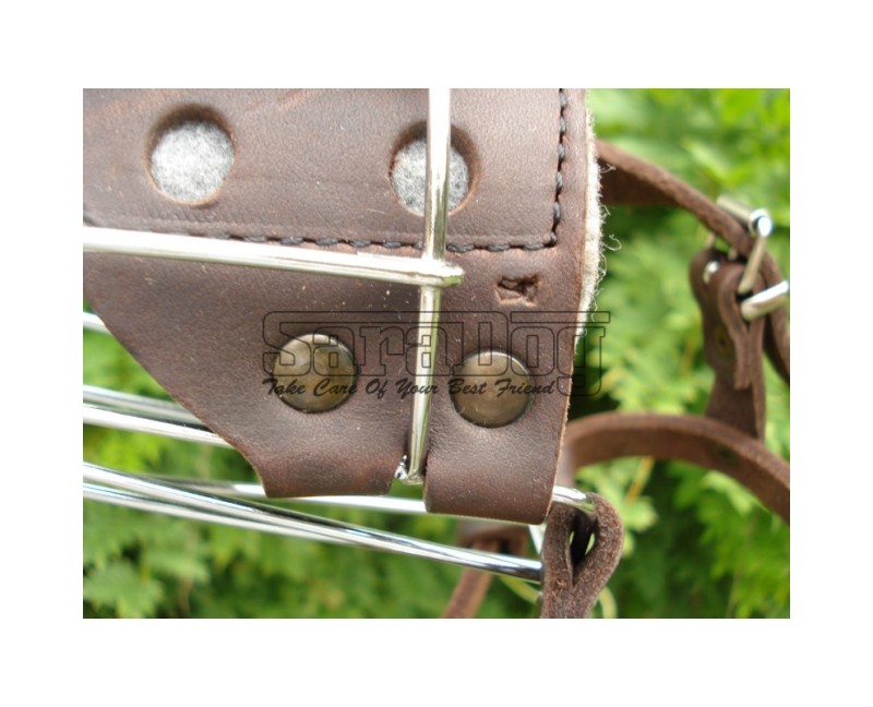 Botniţă pentru Dobermann