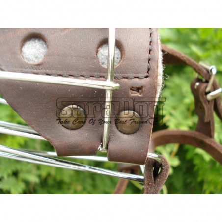 Botniţă pentru Dobermann