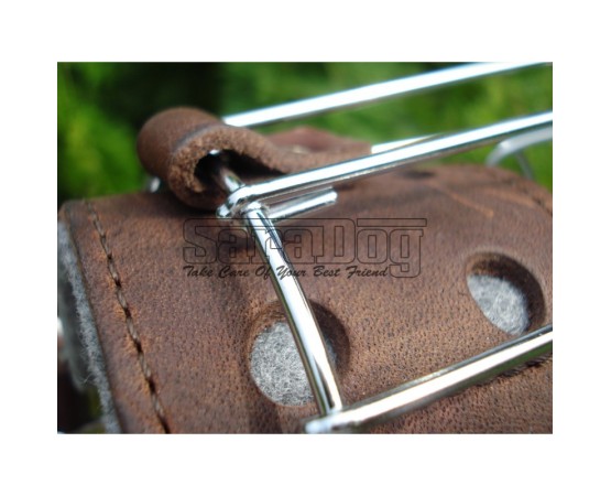 Botniţă metalica pentru Collie , Ogar 