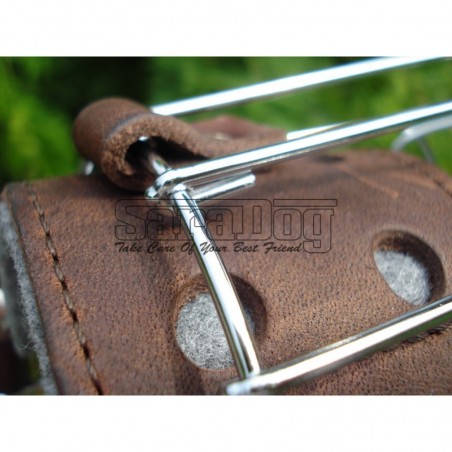 Botniţă metalica pentru Collie , Ogar 