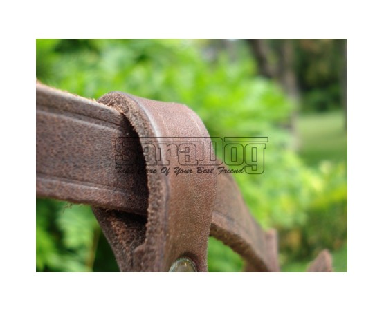 Botniţă metalica pentru Collie , Ogar 