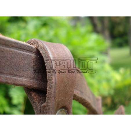 Botniţă metalica pentru Collie , Ogar 