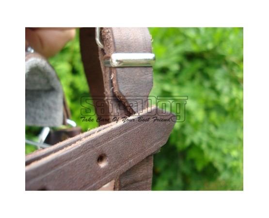 Botniţă metalica pentru Collie , Ogar 