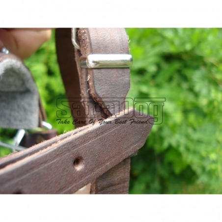 Botniţă metalica pentru Collie , Ogar 