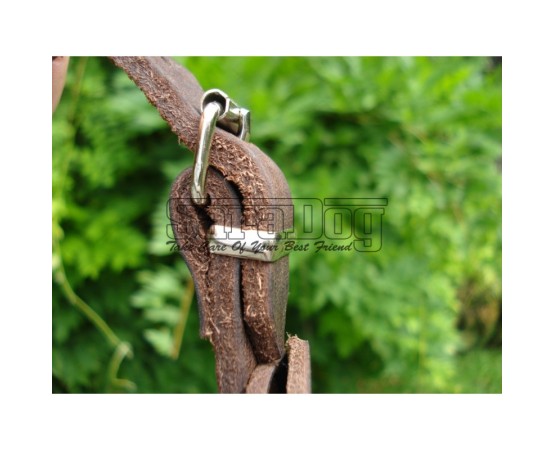 Botniţă metalica pentru Collie , Ogar 