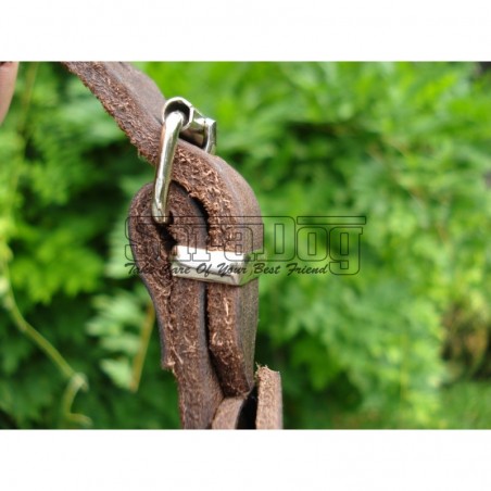 Botniţă metalica pentru Collie , Ogar 