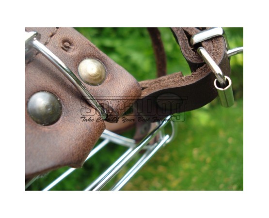 Botniţă metalica pentru Collie , Ogar 