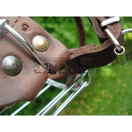 Botniţă metalica pentru Collie , Ogar 