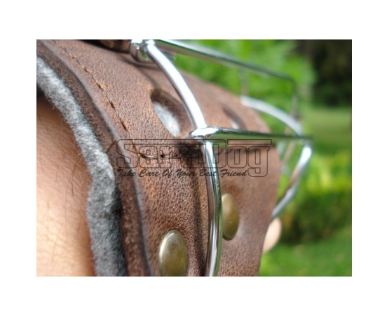 Botniţă metalica pentru Collie , Ogar 