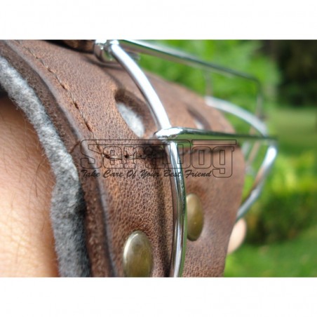 Botniţă metalica pentru Collie , Ogar 