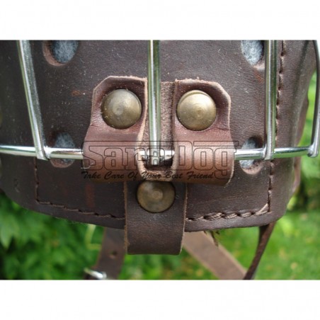 Botniţă metalica pentru Collie , Ogar 