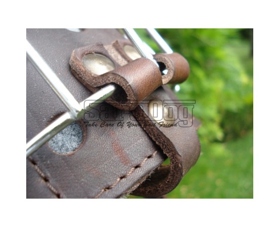 Botniţă metalica pentru Collie , Ogar 