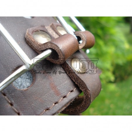 Botniţă metalica pentru Collie , Ogar 