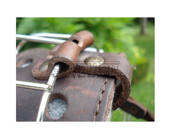 Botniţă metalica pentru Collie , Ogar 