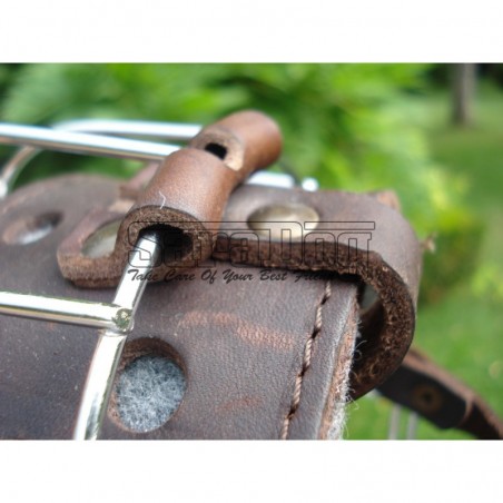 Botniţă metalica pentru Collie , Ogar 