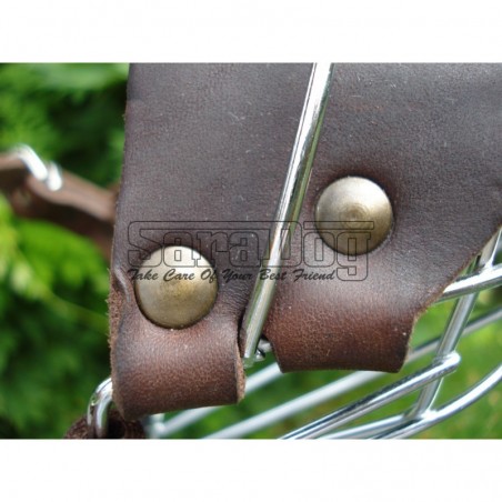 Botniţă metalica pentru Collie , Ogar 