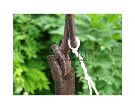 Bici profesional pentru dresaj canin IPO