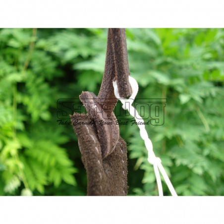 Bici profesional pentru dresaj canin IPO