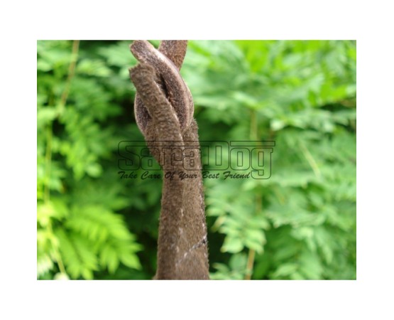 Bici profesional pentru dresaj canin IPO