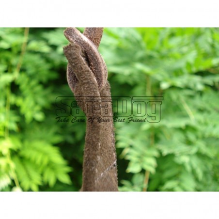 Bici profesional pentru dresaj canin IPO