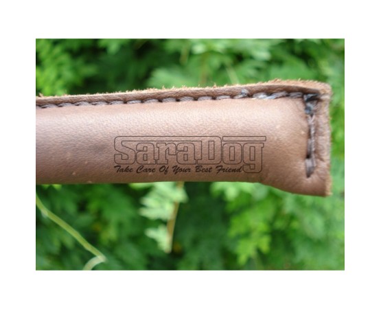 Bici profesional pentru dresaj canin 