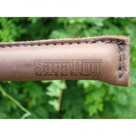 Bici profesional pentru dresaj canin 