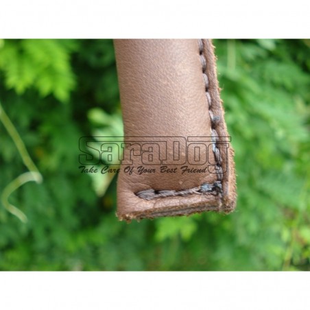 Bici profesional pentru dresaj canin 