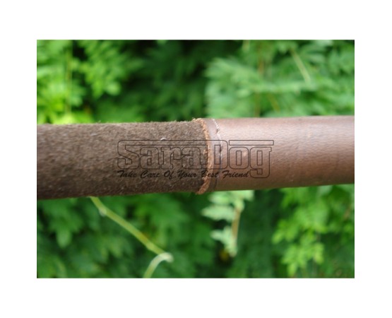 Bici profesional pentru dresaj canin 