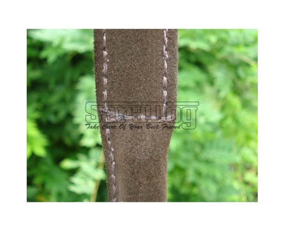 Bici profesional pentru dresaj canin 