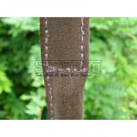 Bici profesional pentru dresaj canin 